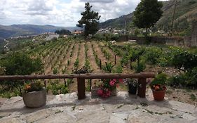 Casa da Vinha em Tabuaço - Douro